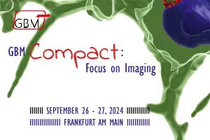 GBM Compact: Focus on Imaging
