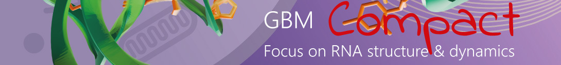 Header banner for the conference: GBM Compact: Focus on RNA structure & dynamics. This goes from 17 September 2026 to 18 September 2026 in Frankfurt.