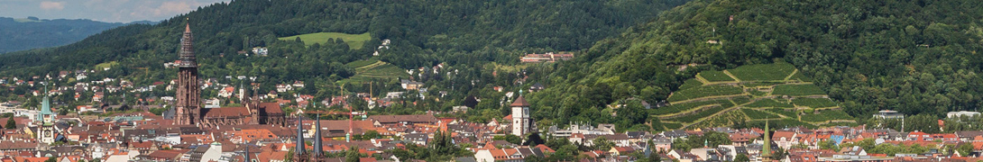 Header banner for the conference: 20th International Congress of the IUSSI. This goes from 16 August 2026 to 20 August 2026 in Freiburg.