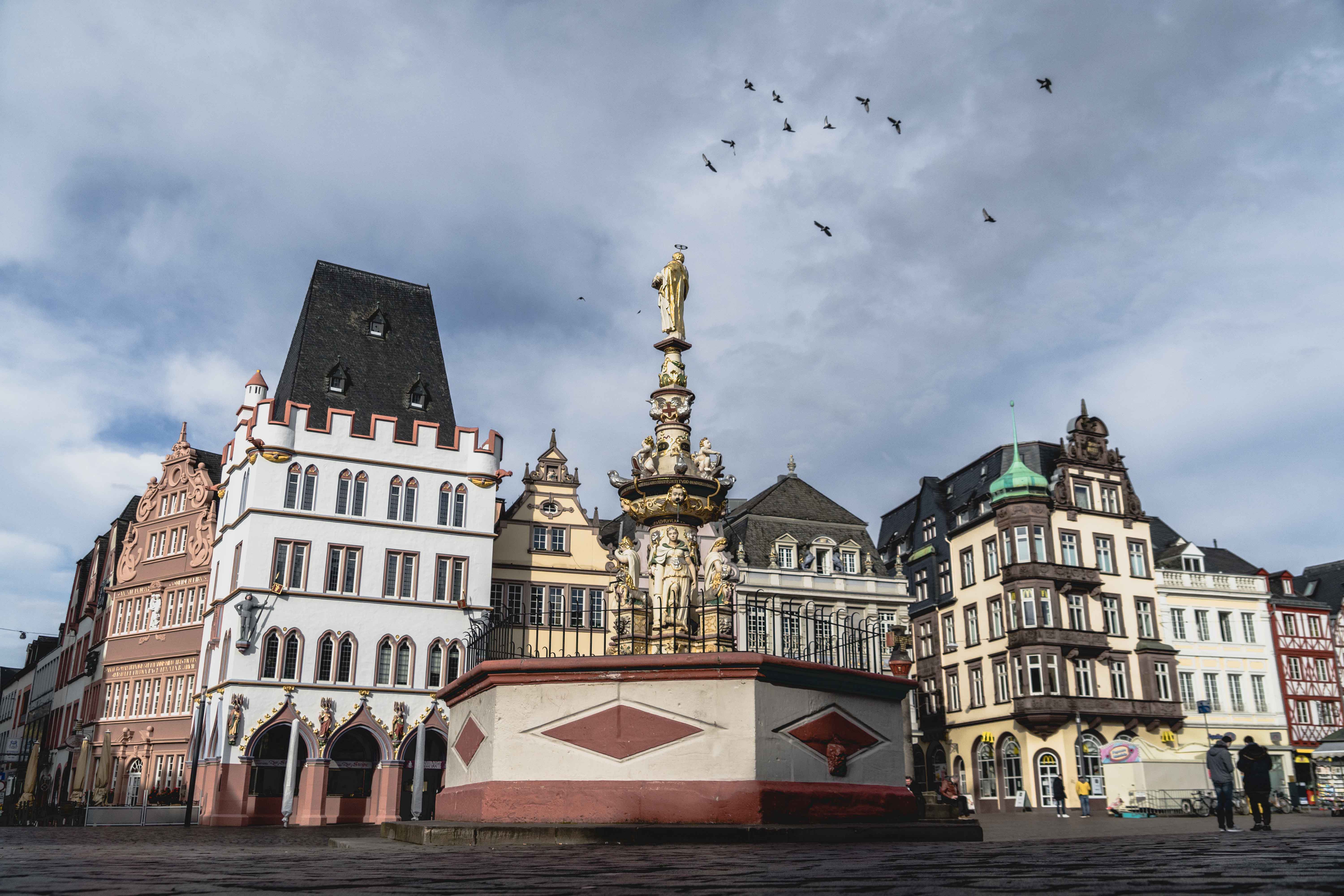 Header banner for the conference: 48. Jahrestagung der Deutschen Gesellschaft für Sprachwissenschaft (DGfS). This goes from 24 February 2026 to 27 February 2026 in Trier.