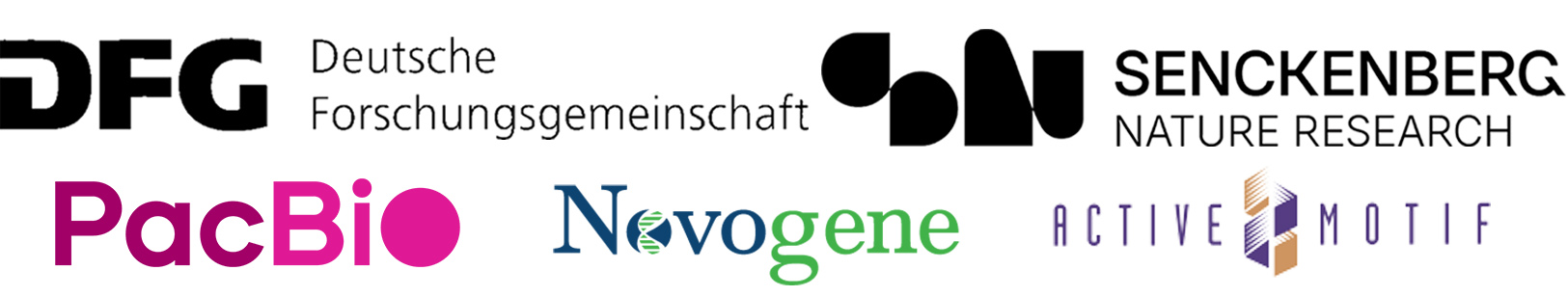 thanks to our sponsors