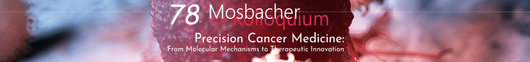 Header banner for the conference:  78. Mosbacher Kolloquium. This goes from 17 March 2027 to 20 March 2027 in Mosbach/Baden.