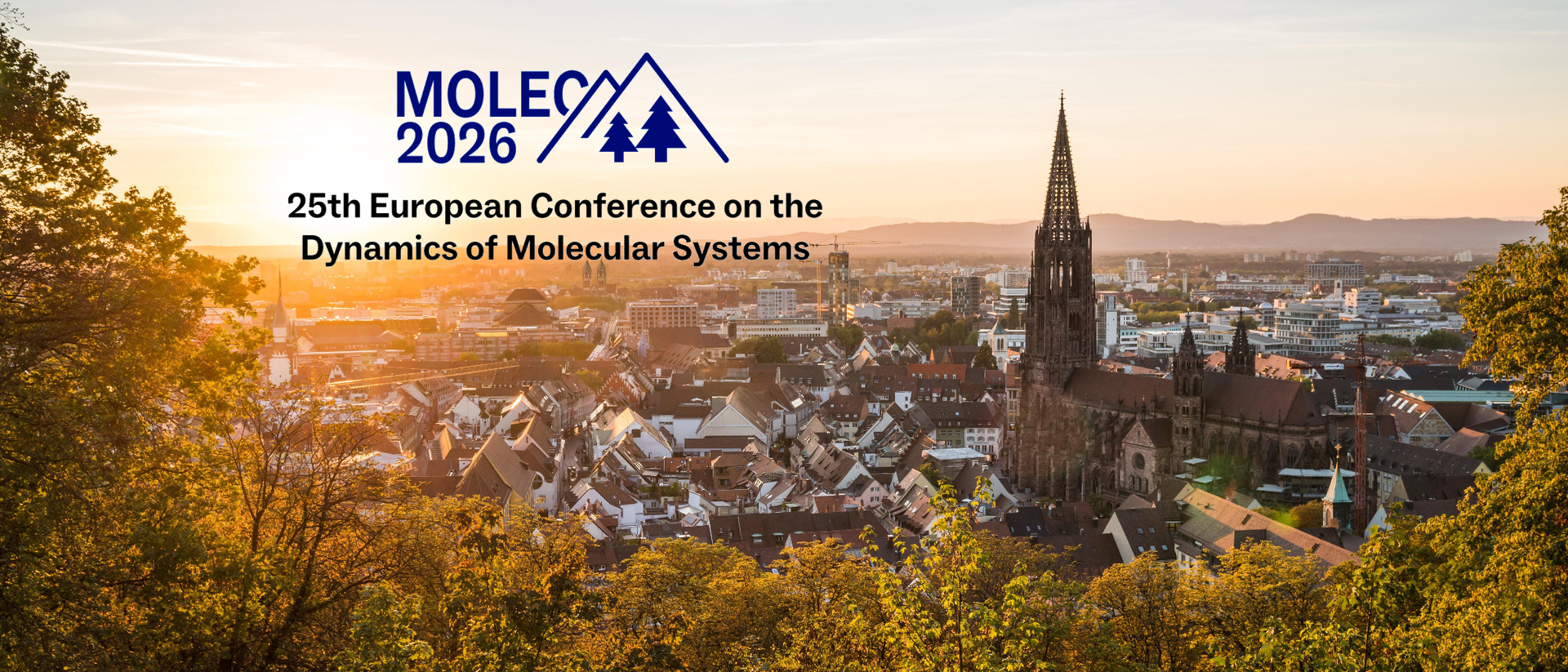 Header banner for the conference: 25th European Conference on the Dynamics of Molecular Systems (MOLEC 2026). This goes from 6 September 2026 to 11 September 2026 in Freiburg im Breisgau .