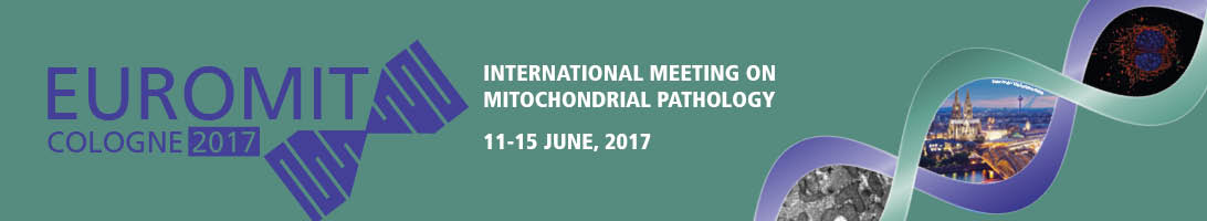 Header banner for the conference: EUROMIT 2017. This goes from 11 June 2017 to 15 June 2017 in Zurich, CH.